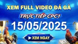Xem Lại Video Đá Gà CPC1 Ngày 15-05-2025 cùng GACAM67