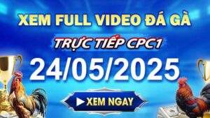 Xem Lại Video Đá Gà CPC1 Ngày 24-05-2025 cùng GACAM67