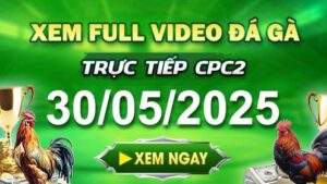 Xem Lại Video Đá Gà CPC2 Ngày 30-05-2025 cùng GACAM67