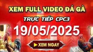 Xem Lại Video Đá Gà CPC3 Ngày 19-05-2025 cùng GACAM67