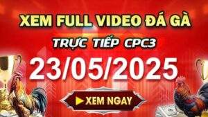Xem Lại Video Đá Gà CPC3 Ngày 23-05-2025 cùng GACAM67