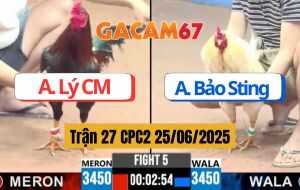 Trận 27 CPC2 25/06/2025 - Gà Vàng Anh Bảo Sting Chồng Độ