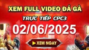 Xem Lại Video Đá Gà CPC3 Ngày 02-06-2025 cùng GACAM67