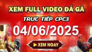 Xem Lại Video Đá Gà CPC3 Ngày 04-06-2025 cùng GACAM67