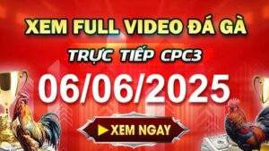 Xem Lại Video Đá Gà CPC3 Ngày 06-06-2025 cùng GACAM67
