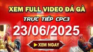 Xem Lại Video Đá Gà CPC3 Ngày 23-06-2025 cùng GACAM67