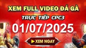 Xem Lại Video Đá Gà CPC3 Ngày 01-07-2025 cùng GACAM67
