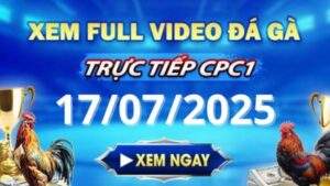 Xem lại video đá gà CPC1 ngày 17_07_2025 tại Gacam67
