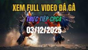 Xem Lại Video Đá Gà CPC4 Trực Tiếp Ngày 03/12/2025
