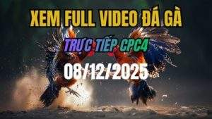 Xem Lại Video Đá Gà CPC4 Trực Tiếp Ngày 08/12/2025