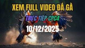 Xem Lại Video Đá Gà CPC4 Trực Tiếp Ngày 10/12/2025