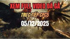 Xem Lại Video Đá Gà CPC5 Trực Tiếp Ngày 05/12/2025