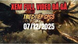 Xem Lại Video Đá Gà CPC5 Trực Tiếp Ngày 07/12/2025