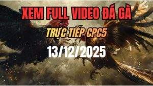 Xem Lại Video Đá Gà CPC5 Trực Tiếp Ngày 13/12/2025